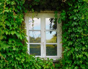 window-1679344_1280