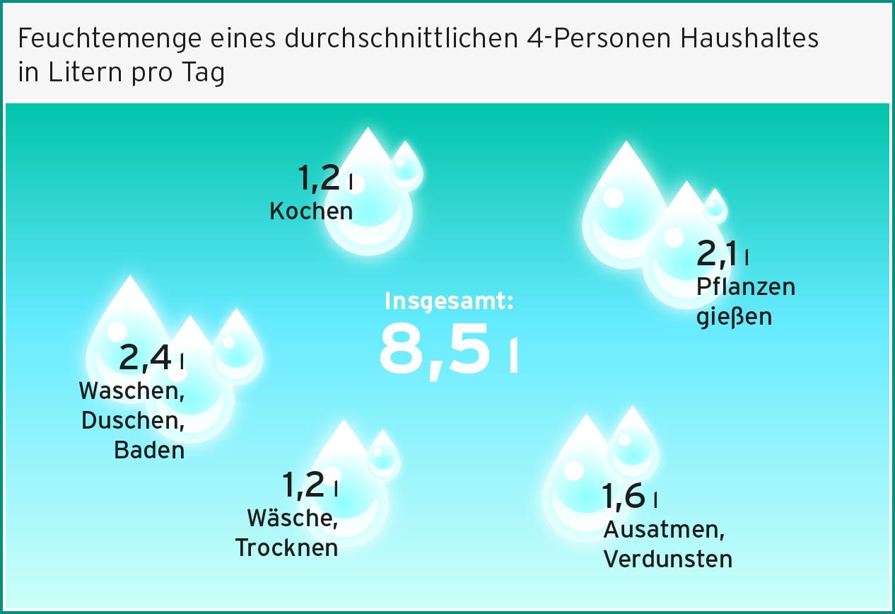 Ursachen von Schimmel & Schimmelpilzen an der Wand