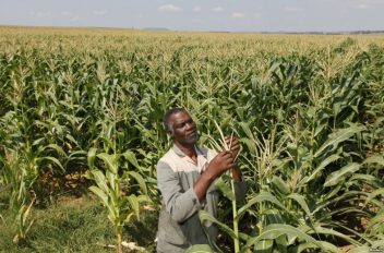 Kitovu Farmers