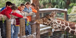 Nachhaltige Zoos