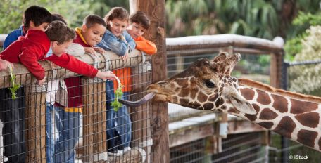 Nachhaltige Zoos