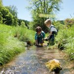 Kleine Kinder spielen in einem Bach. Der Bachlauf ist gesäumt von saftig grüner Wiese.