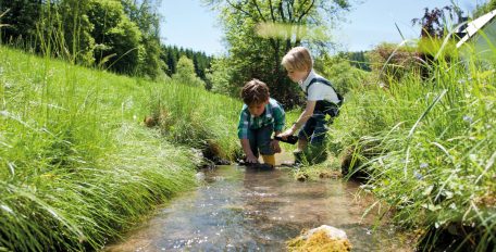 Kleine Kinder spielen in einem Bach. Der Bachlauf ist gesäumt von saftig grüner Wiese.