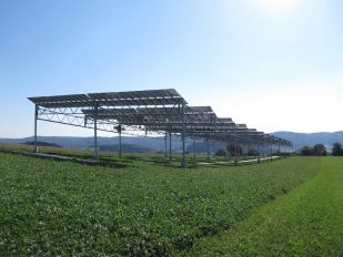 Agrophotovoltaik-Pilotanlage auf dem Gelände der Demeter-Hofgemeinschaft in Heggelbach.