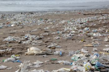 Strand mit Plastikmüll