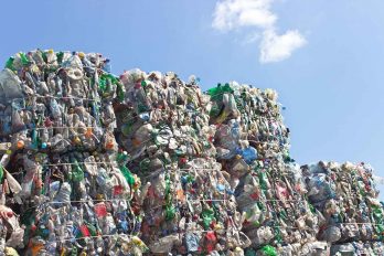 Plastikflaschen auf dem Weg ins Recycling