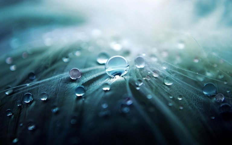 Mit Regenwasser Trinkwasser sparen – aber gesund und sauber