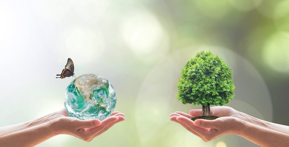 Das Bild zeigt eine Weltkugel und einen Baum in den Händen von jeweils einer Person.