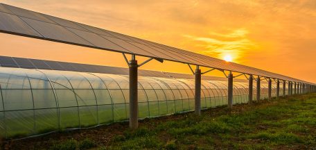 Photovoltaikanlage auf einem Feld