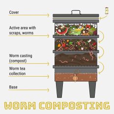 Grafik Wurmkompostierung