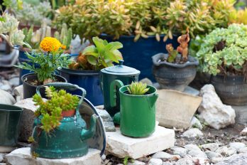 Gebrauchte Wasserkocher, Töpfe und alte Teekannen werden zu Blumenkübeln für den Garten