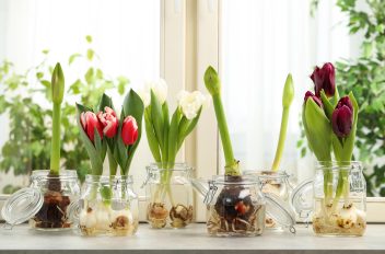 Mehrere Blumenvasen aus alten Vorratsgläsern