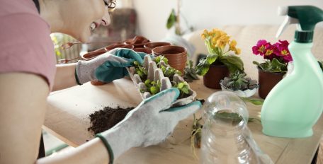 Frau reduziert Verpackungsmüll durch Anpflanzen von Zimmerpflanzen, Vorbereitung neuer Pflanzen für den Garten