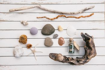 Muscheln und weitere Naturmaterialien auf einem weißen Holztisch