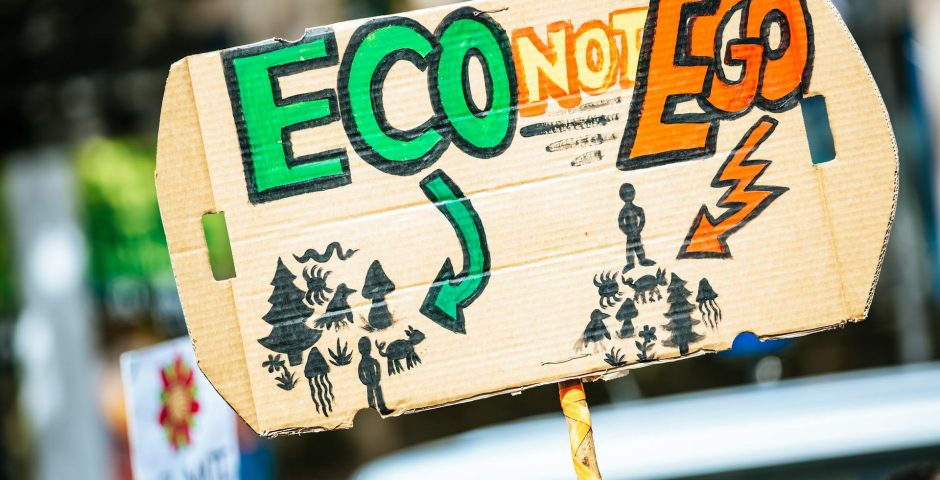 Ein buntes Plakat mit der Aufschrift "Eco not Ego"
