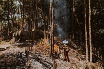 Frau in einem Wald vor einem Feuer