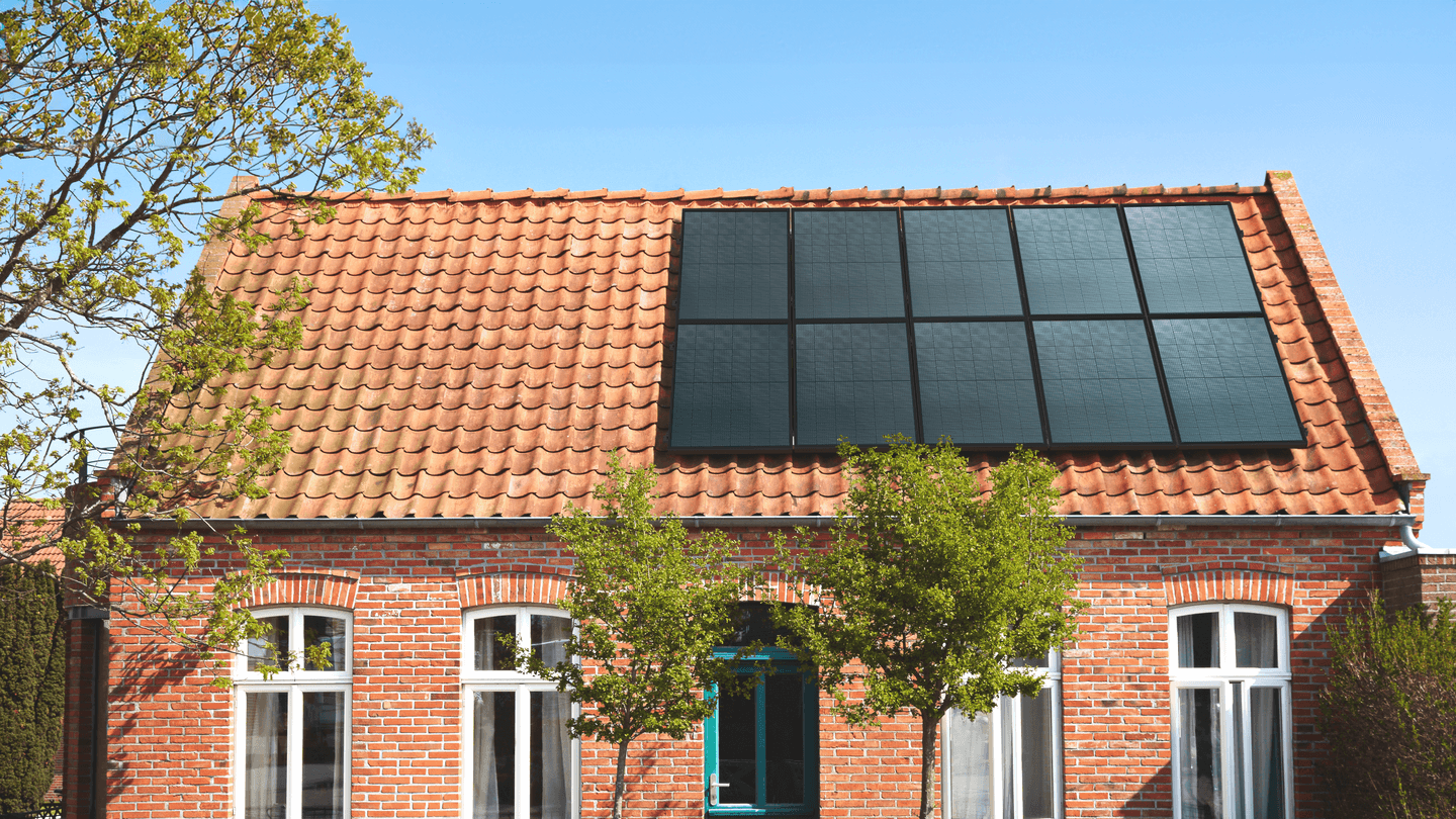 AXIblackbiperfect scene view