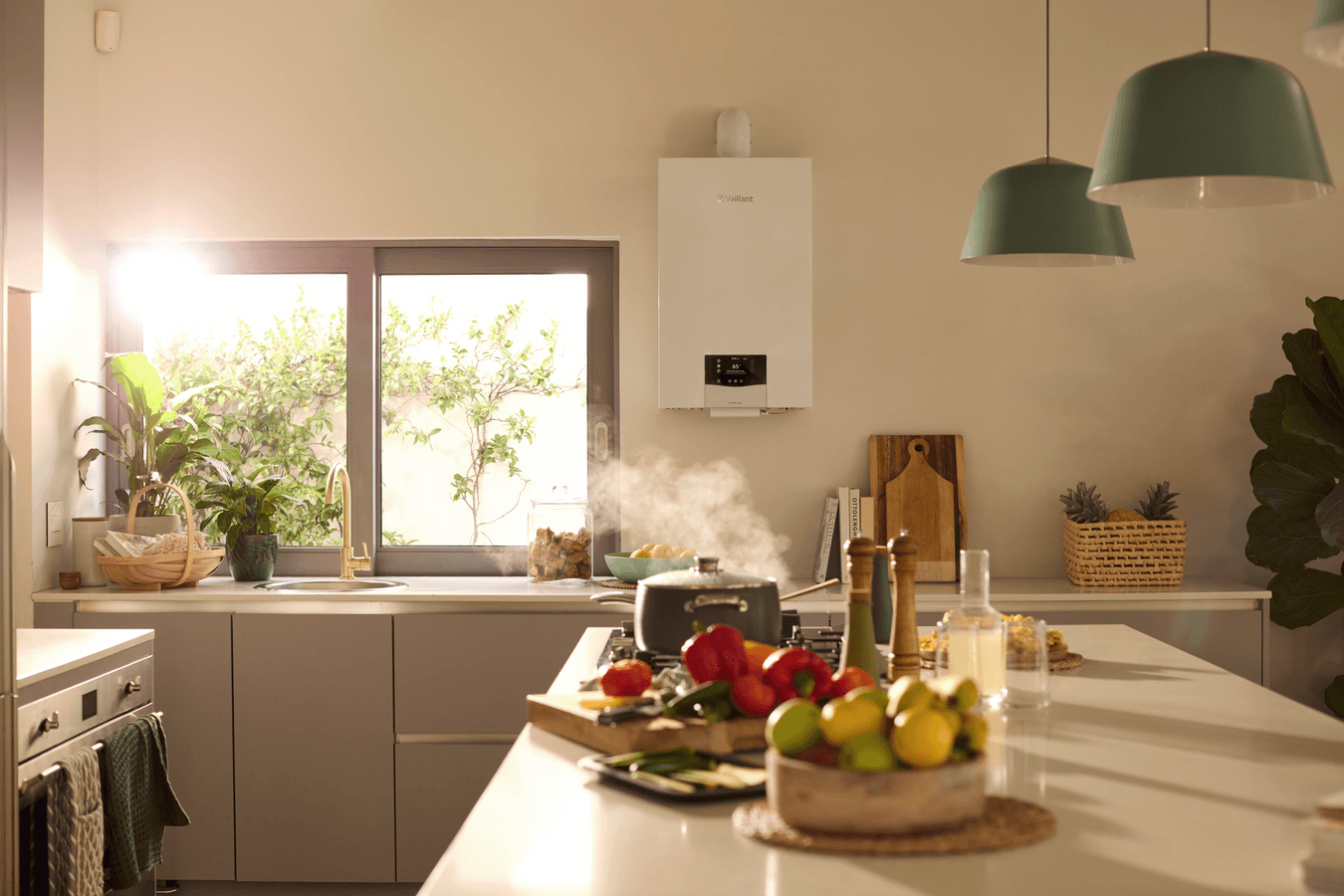 ecoTEC plus VC 1-5 scene view