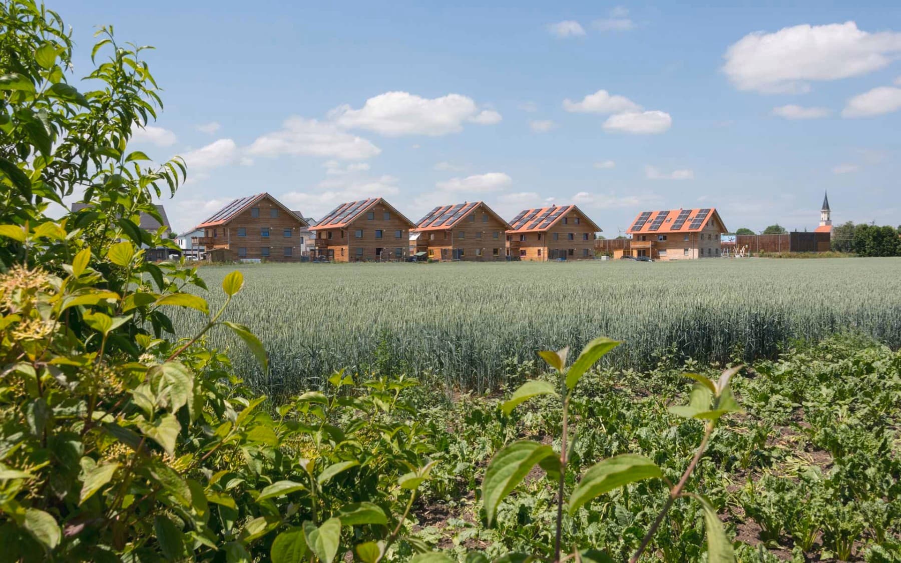 Blick aus der Ferne über ein Feld, im Hintergrund stehen fünf der Holzhäuser