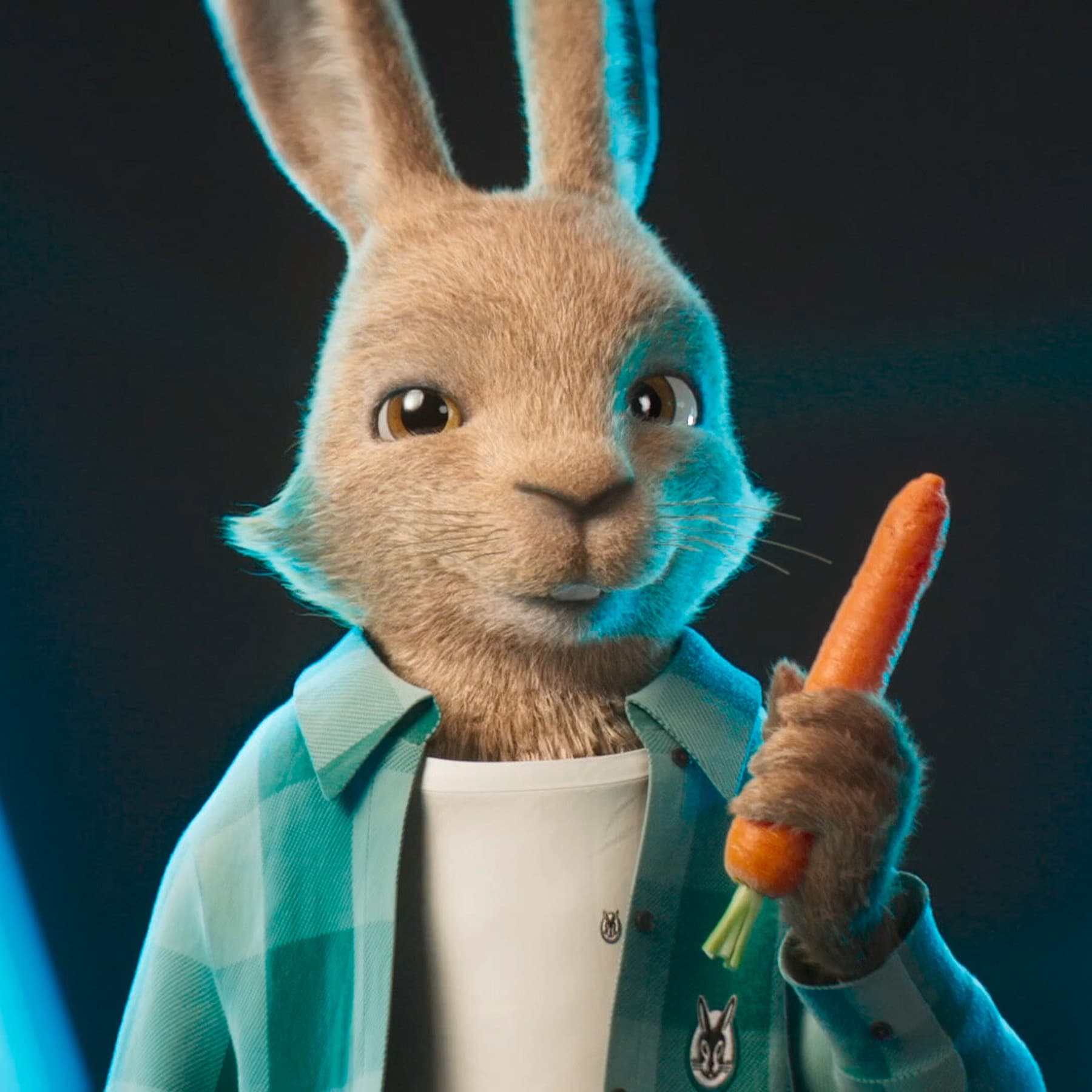 Der Vaillant Hase als animiert gezeichneter Charakter mit einer Möhre in der Hand, bekleidet mit einem Hemd und einem T-Shirt.