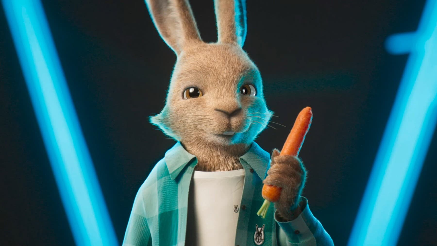 Ein Bild vom animierten Vaillant Hasen, der eine Möhre in den Pfoten hält.