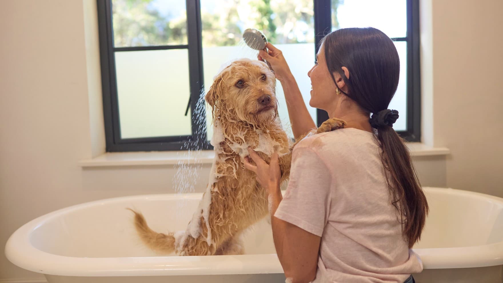 Frau duscht einen Hund in der Badewanne