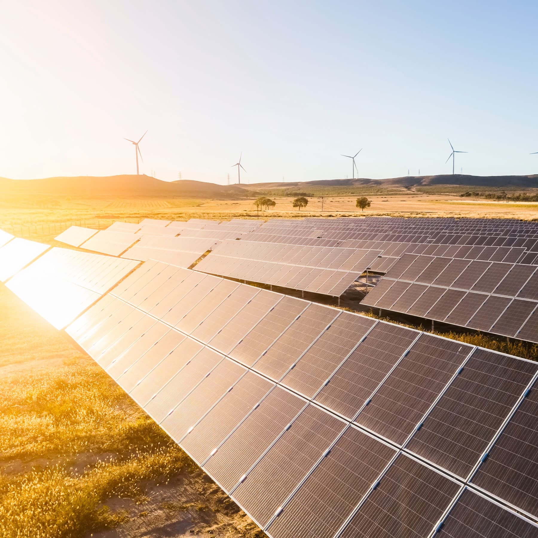 Photovoltaik Module auf einem Feld