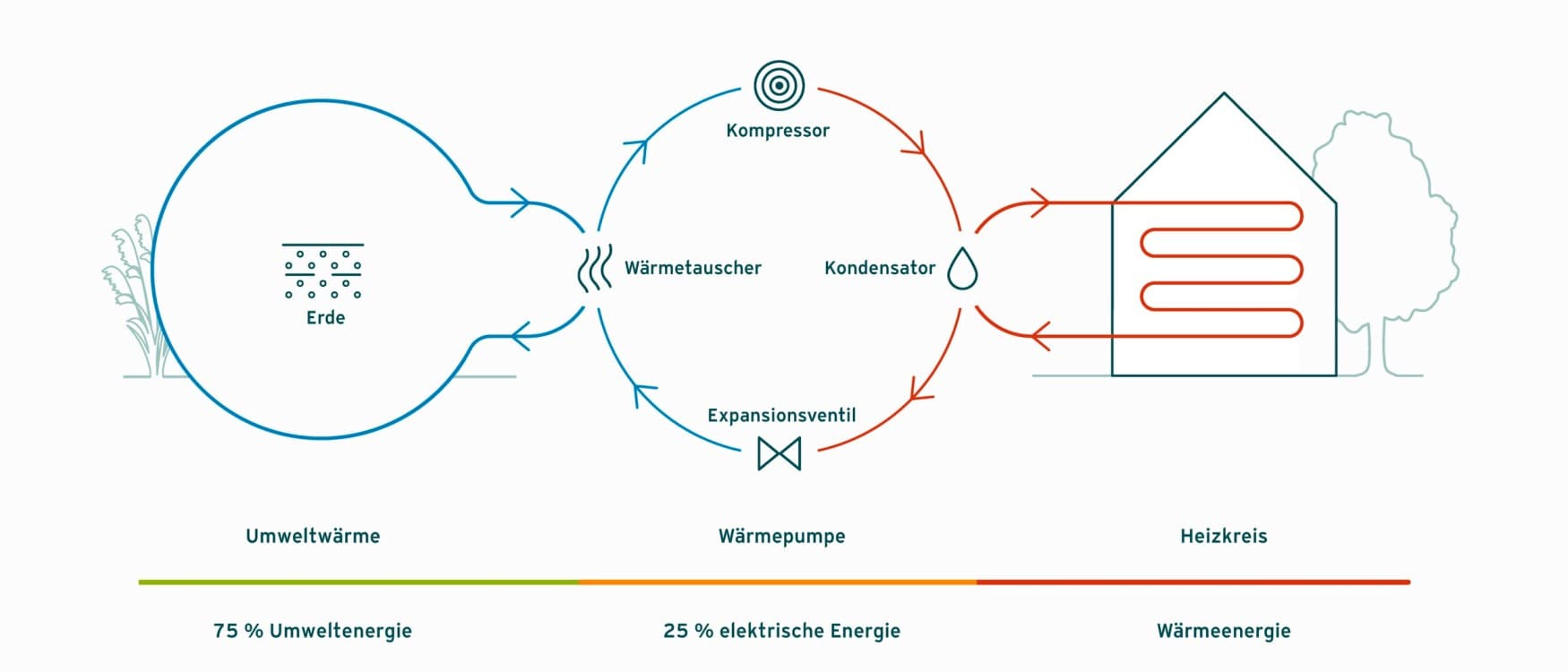 Grafik über die Funktionsweise einer Erdwärmepumpe