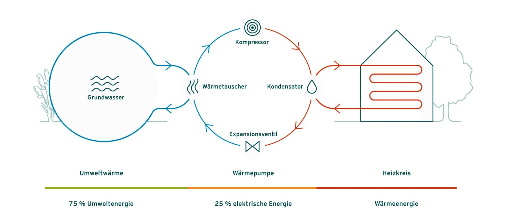 Grafik der Funktionsweise bzw. des Wärmekreislaufs einer Grundwasser-Wärmepumpe