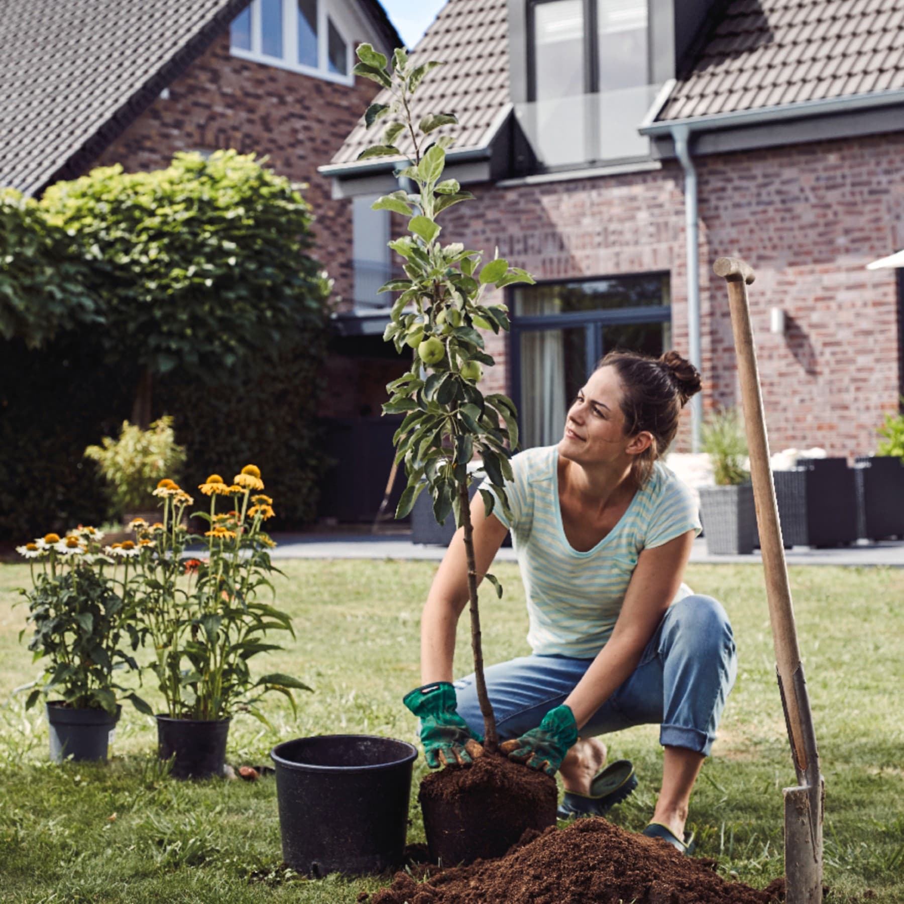 Frau pflanzt einen Baum im Garten