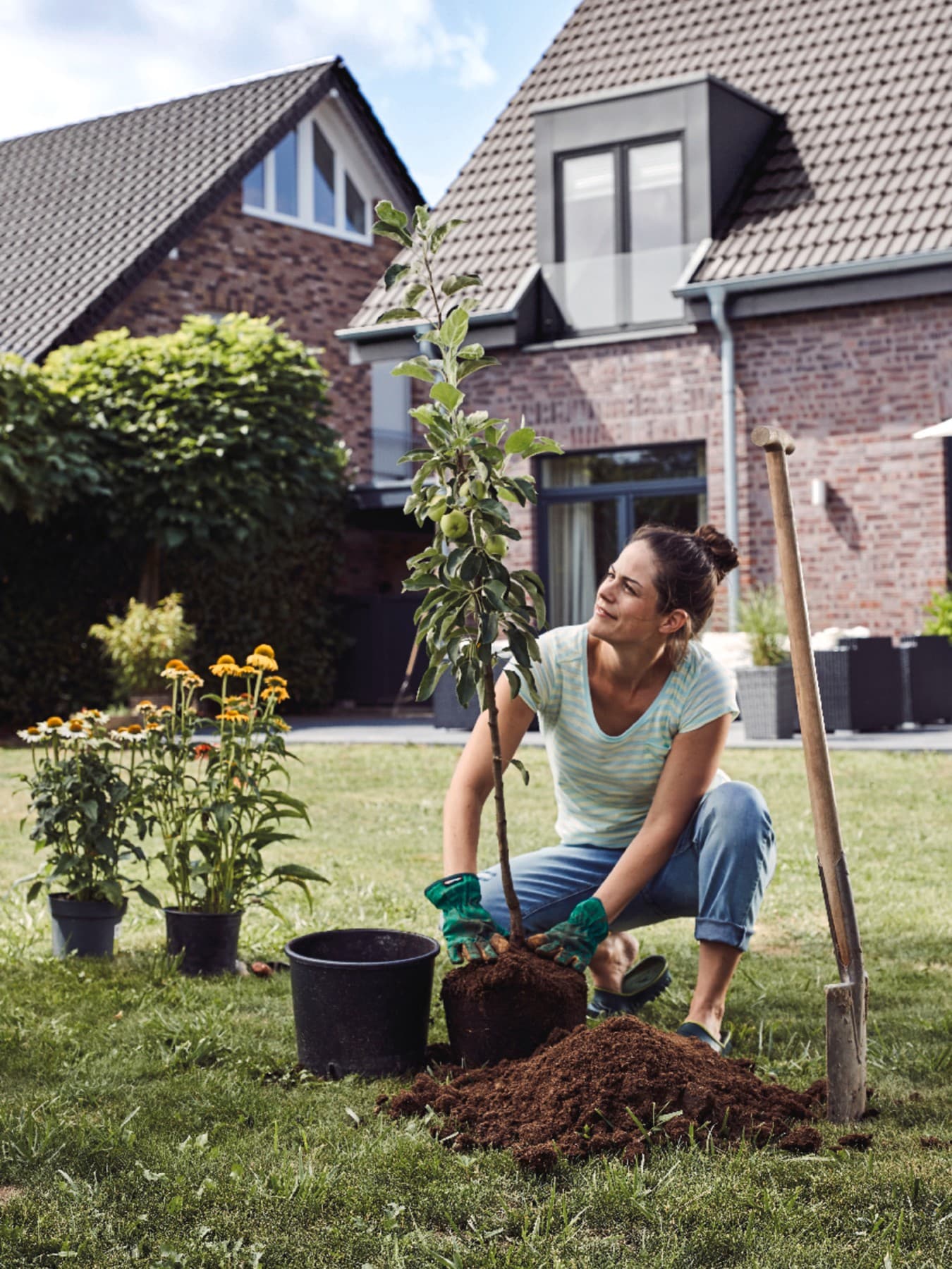 Frau pflanzt einen Apfelbaum im Garten