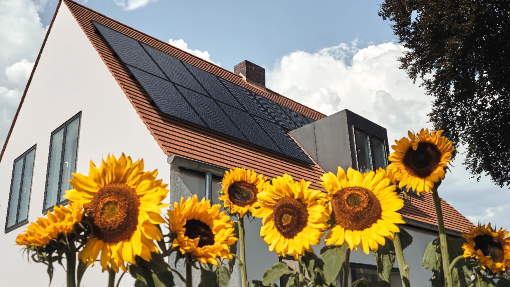 Im Hintergrund steht ein Haus mit einer Photovoltaik-Anlage auf dem Dach, im Vordergrund stehen blühende Sonnenblumen