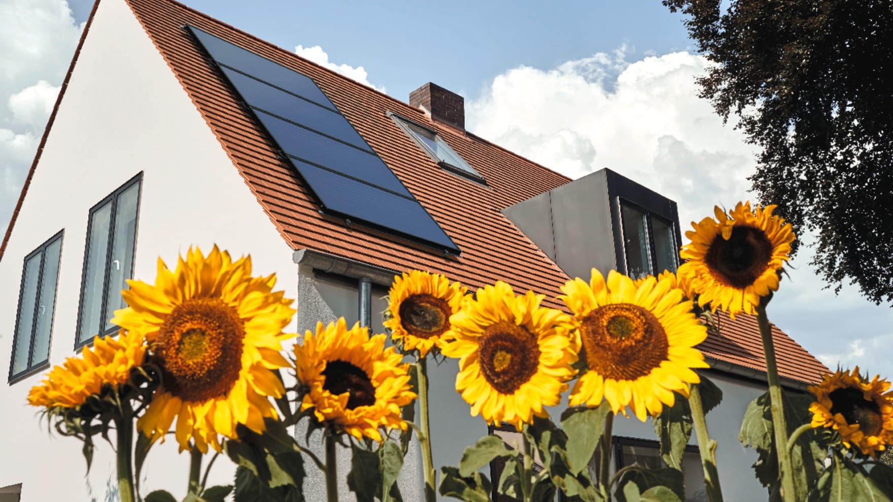 Im Vordergrund Sonnenblumen, im Hintergrund ein Haus mit Solarpaneelen auf dem Dach.