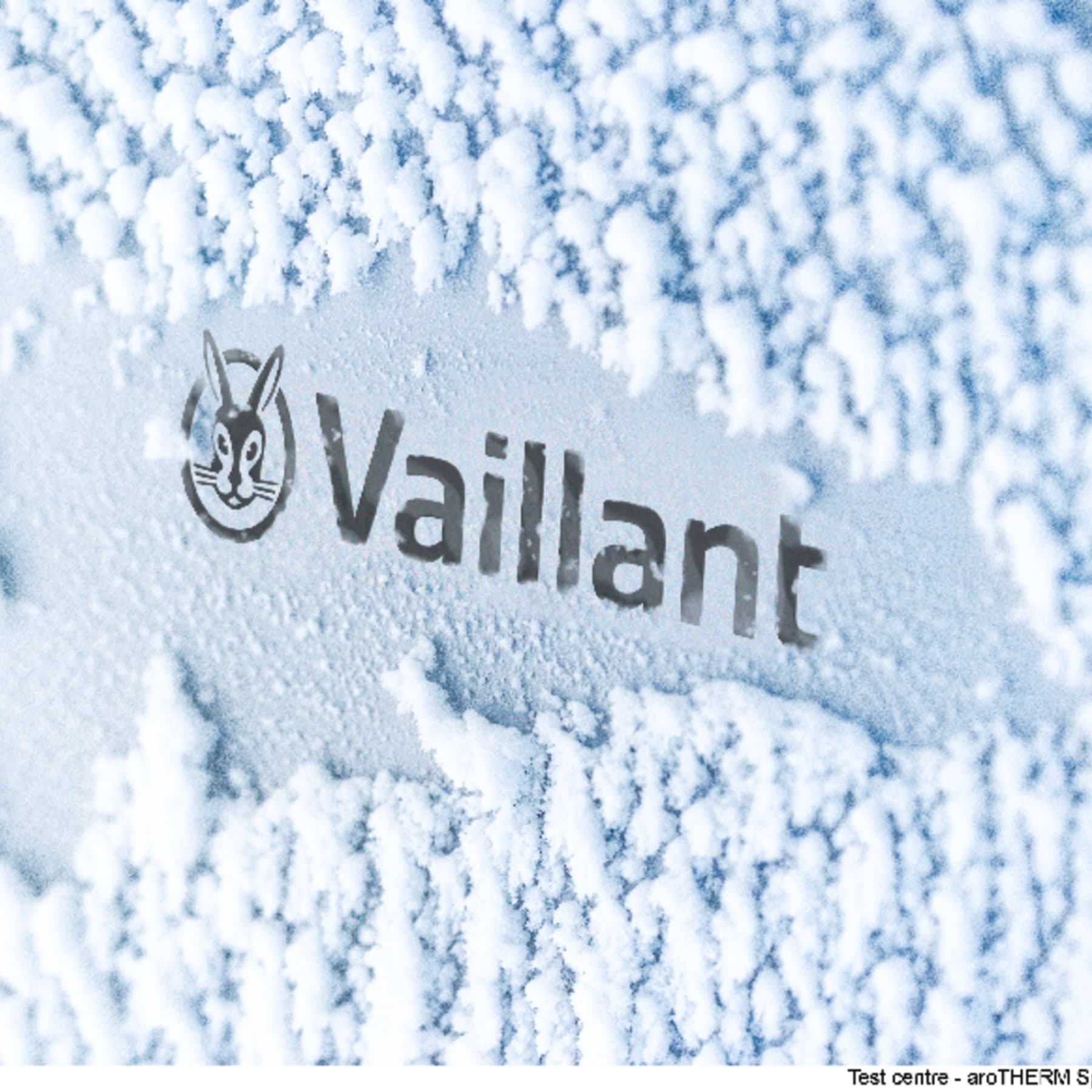 Vaillant Logo umgeben von Schnee