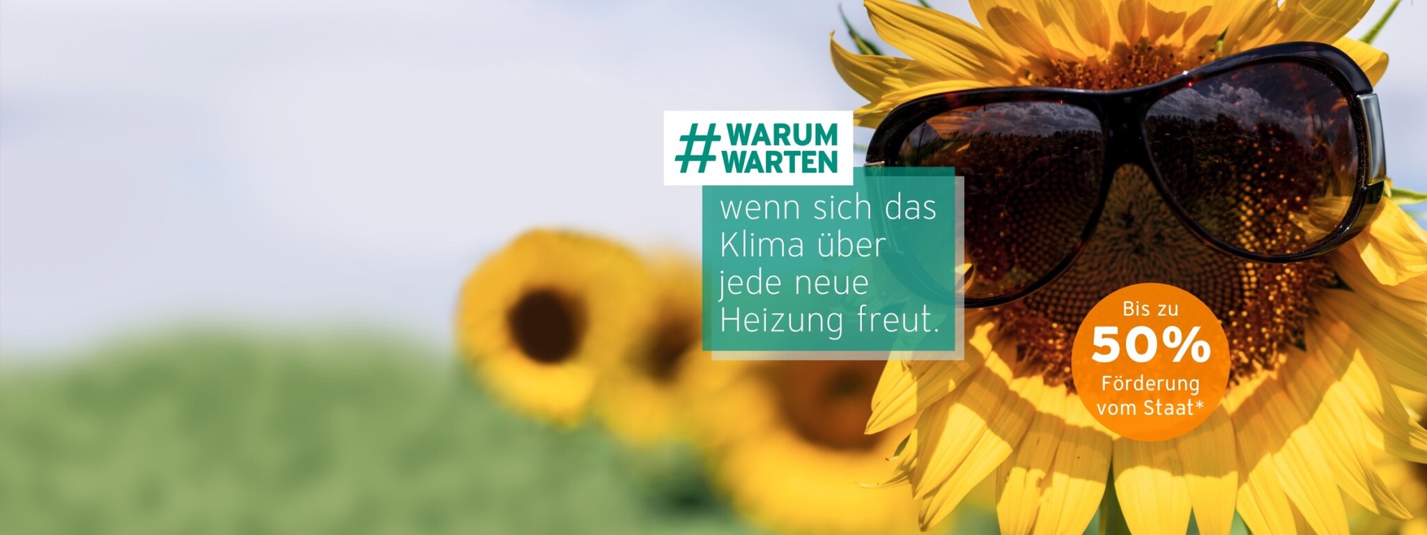 Vaillant #warumwarten Klima Förderung Sommer